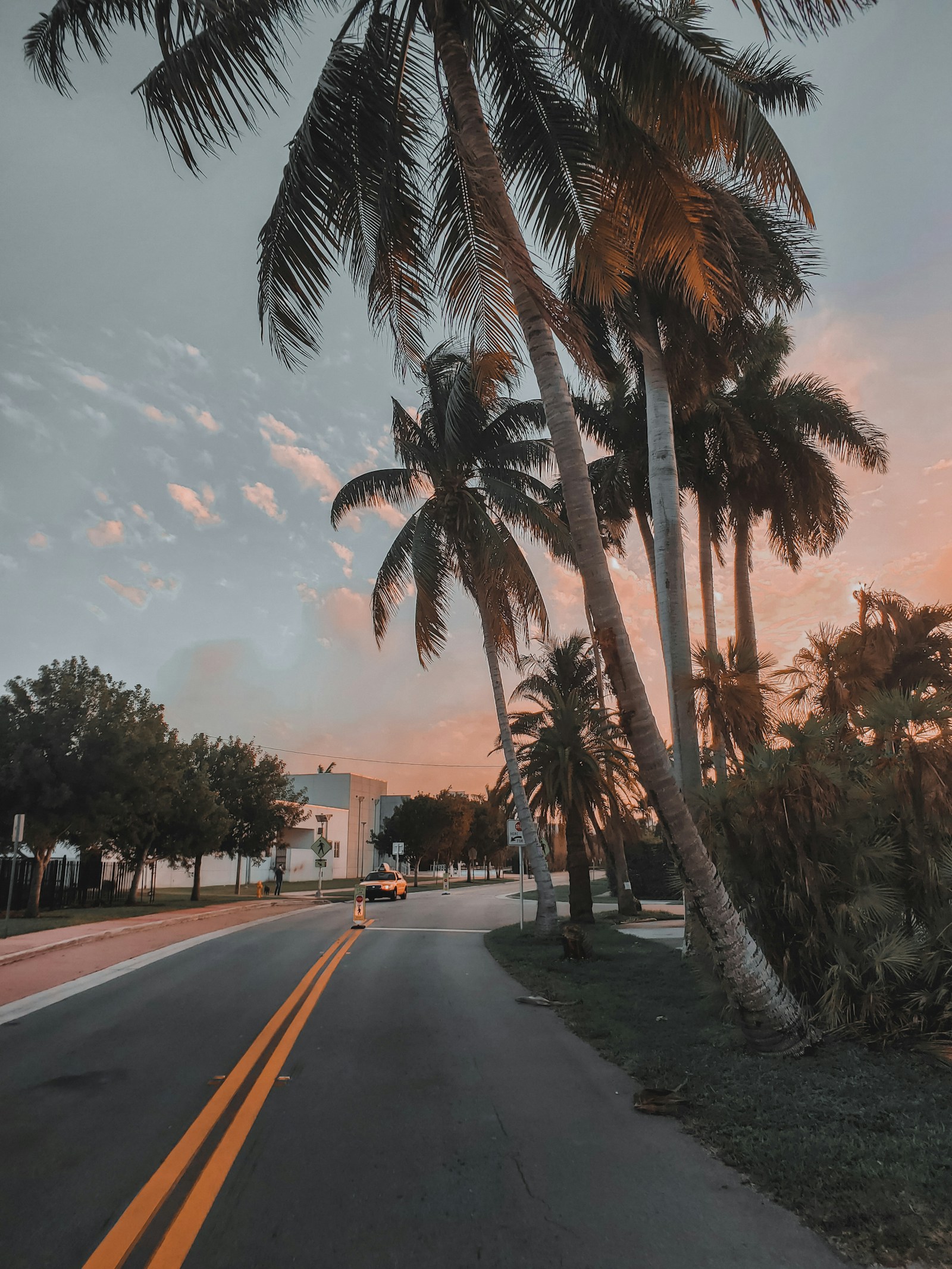 A quiet, palm-lined Florida street at dusk